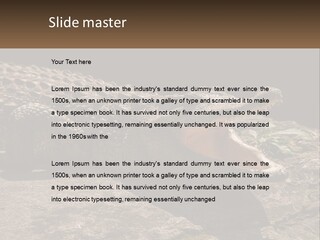 A Large Alligator Laying On Top Of A Rock PowerPoint Template