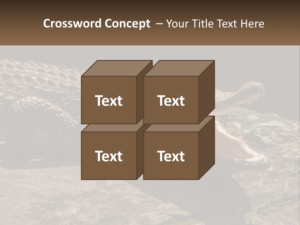 A Large Alligator Laying On Top Of A Rock PowerPoint Template