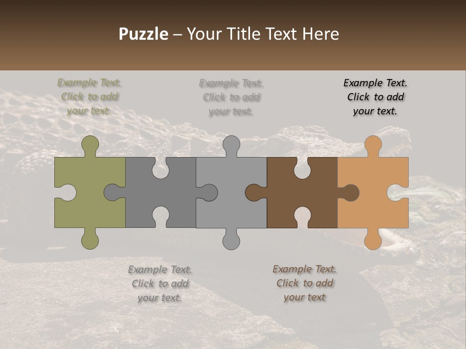 A Large Alligator Laying On Top Of A Rock PowerPoint Template