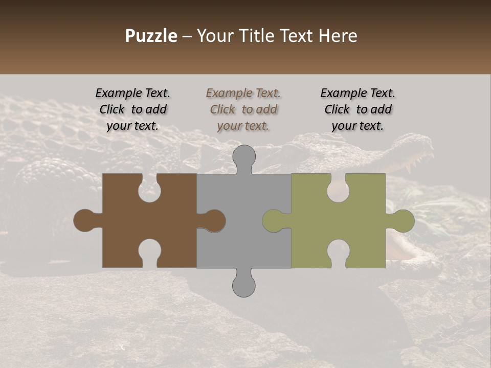 A Large Alligator Laying On Top Of A Rock PowerPoint Template