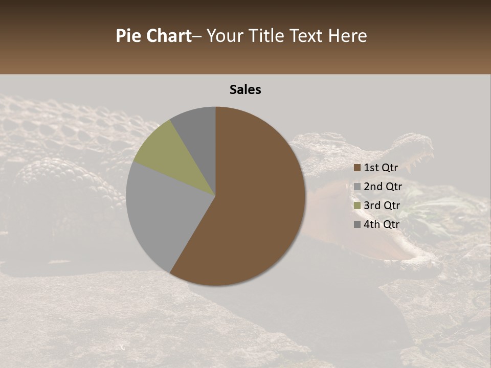 A Large Alligator Laying On Top Of A Rock PowerPoint Template
