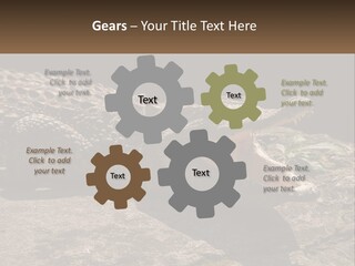 A Large Alligator Laying On Top Of A Rock PowerPoint Template