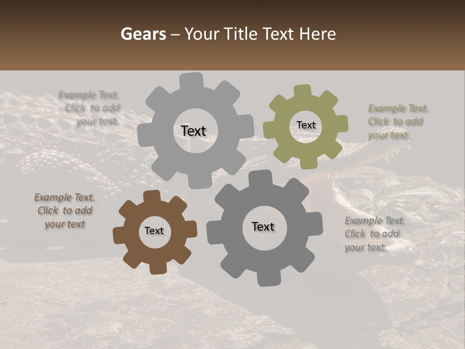 A Large Alligator Laying On Top Of A Rock PowerPoint Template