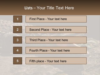 A Large Alligator Laying On Top Of A Rock PowerPoint Template