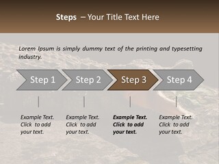 A Large Alligator Laying On Top Of A Rock PowerPoint Template