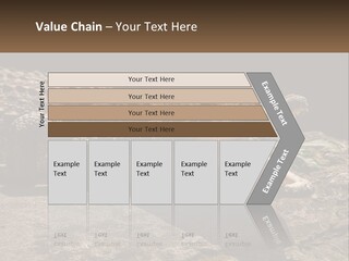 A Large Alligator Laying On Top Of A Rock PowerPoint Template
