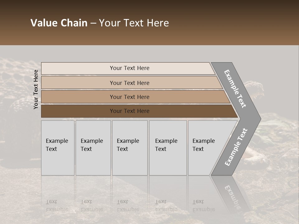 A Large Alligator Laying On Top Of A Rock PowerPoint Template