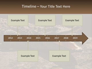 A Large Alligator Laying On Top Of A Rock PowerPoint Template