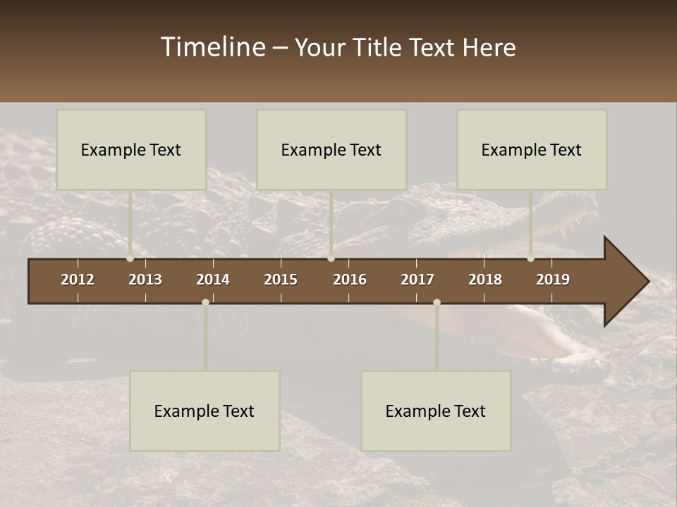 A Large Alligator Laying On Top Of A Rock PowerPoint Template
