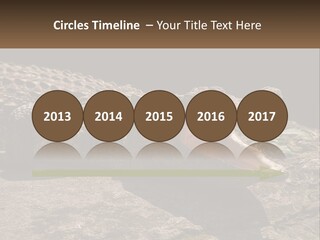 A Large Alligator Laying On Top Of A Rock PowerPoint Template