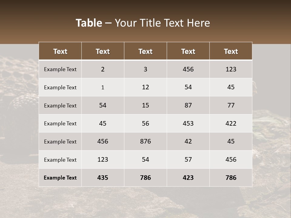 A Large Alligator Laying On Top Of A Rock PowerPoint Template