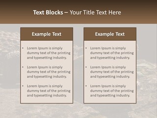 A Large Alligator Laying On Top Of A Rock PowerPoint Template
