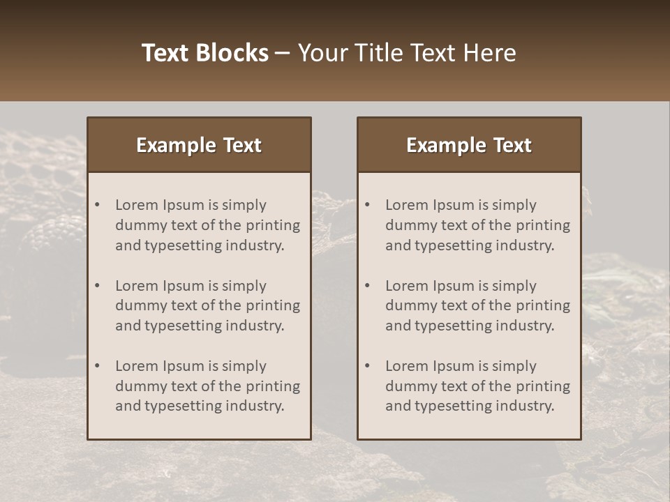 A Large Alligator Laying On Top Of A Rock PowerPoint Template