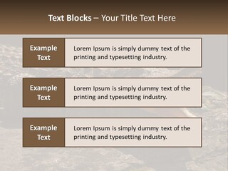 A Large Alligator Laying On Top Of A Rock PowerPoint Template