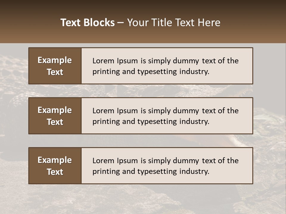 A Large Alligator Laying On Top Of A Rock PowerPoint Template