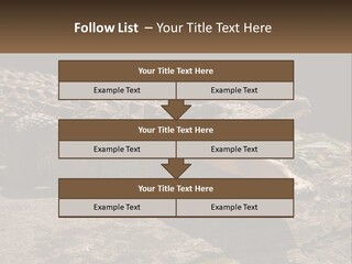 A Large Alligator Laying On Top Of A Rock PowerPoint Template