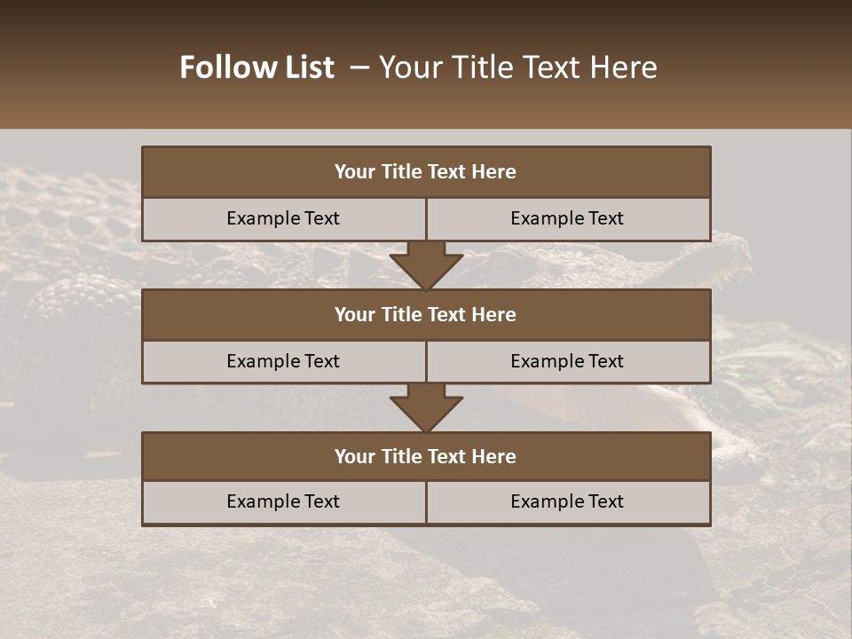 A Large Alligator Laying On Top Of A Rock PowerPoint Template