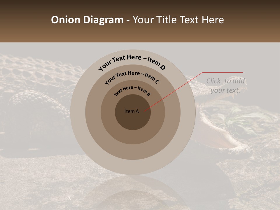 A Large Alligator Laying On Top Of A Rock PowerPoint Template