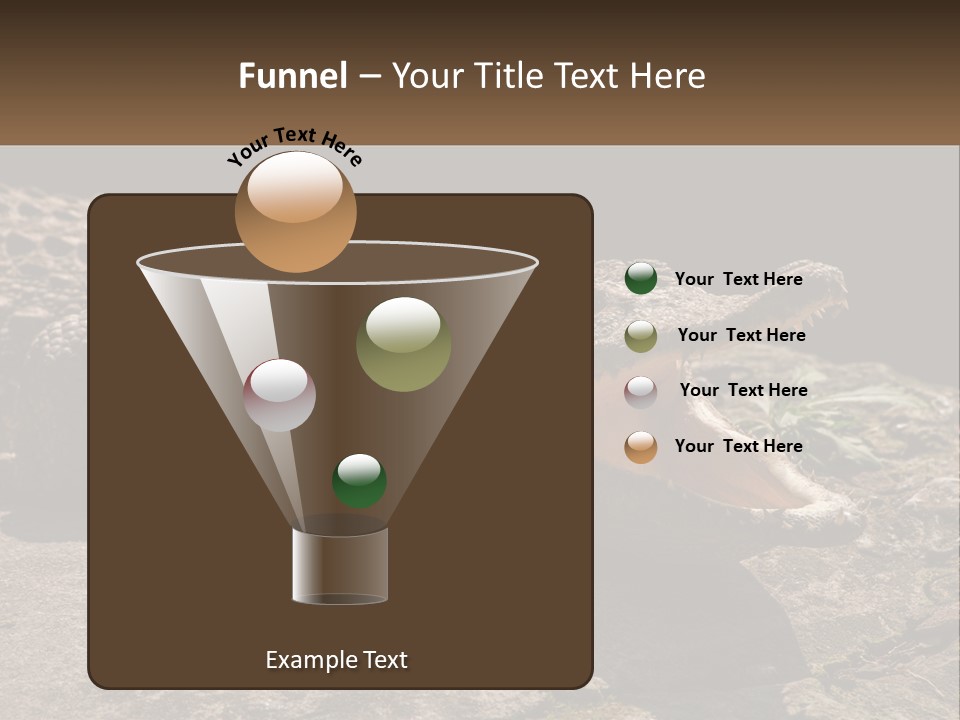 A Large Alligator Laying On Top Of A Rock PowerPoint Template