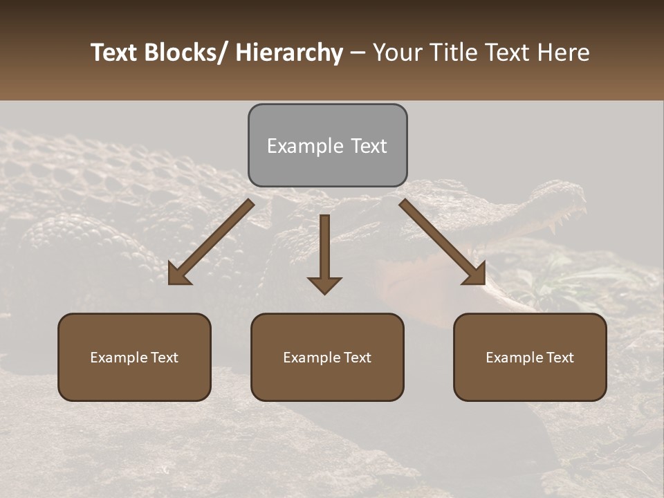 A Large Alligator Laying On Top Of A Rock PowerPoint Template