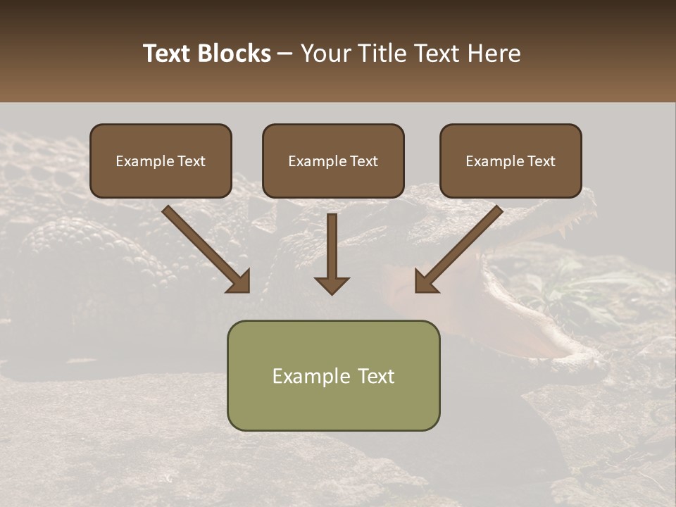 A Large Alligator Laying On Top Of A Rock PowerPoint Template