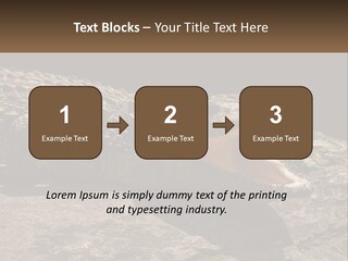 A Large Alligator Laying On Top Of A Rock PowerPoint Template