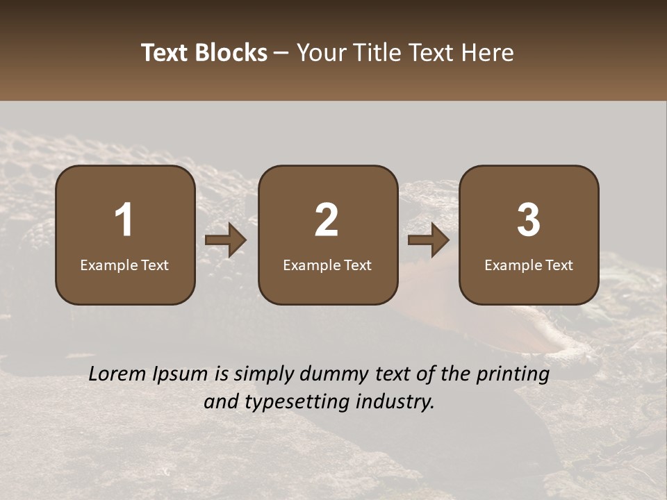 A Large Alligator Laying On Top Of A Rock PowerPoint Template