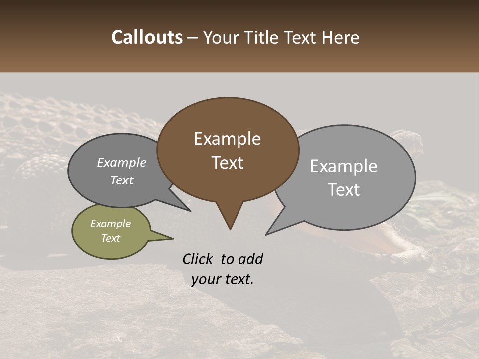 A Large Alligator Laying On Top Of A Rock PowerPoint Template