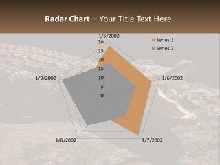 A Large Alligator Laying On Top Of A Rock PowerPoint Template