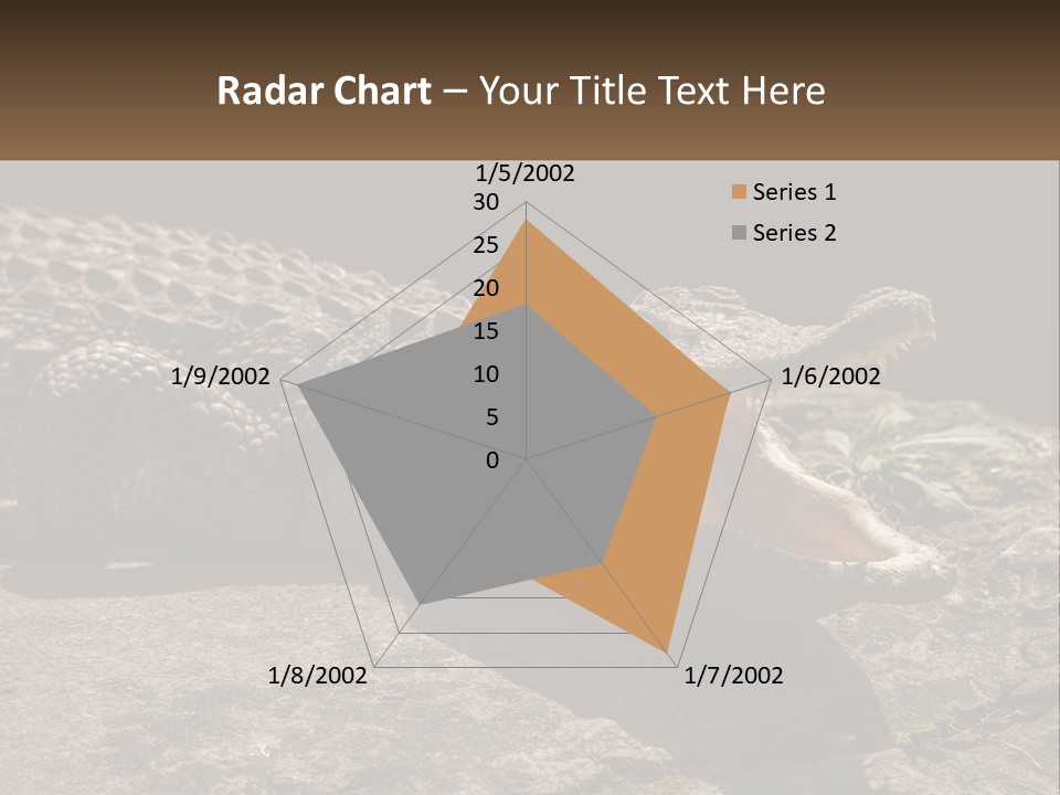 A Large Alligator Laying On Top Of A Rock PowerPoint Template