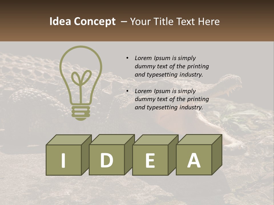 A Large Alligator Laying On Top Of A Rock PowerPoint Template