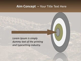 A Large Alligator Laying On Top Of A Rock PowerPoint Template