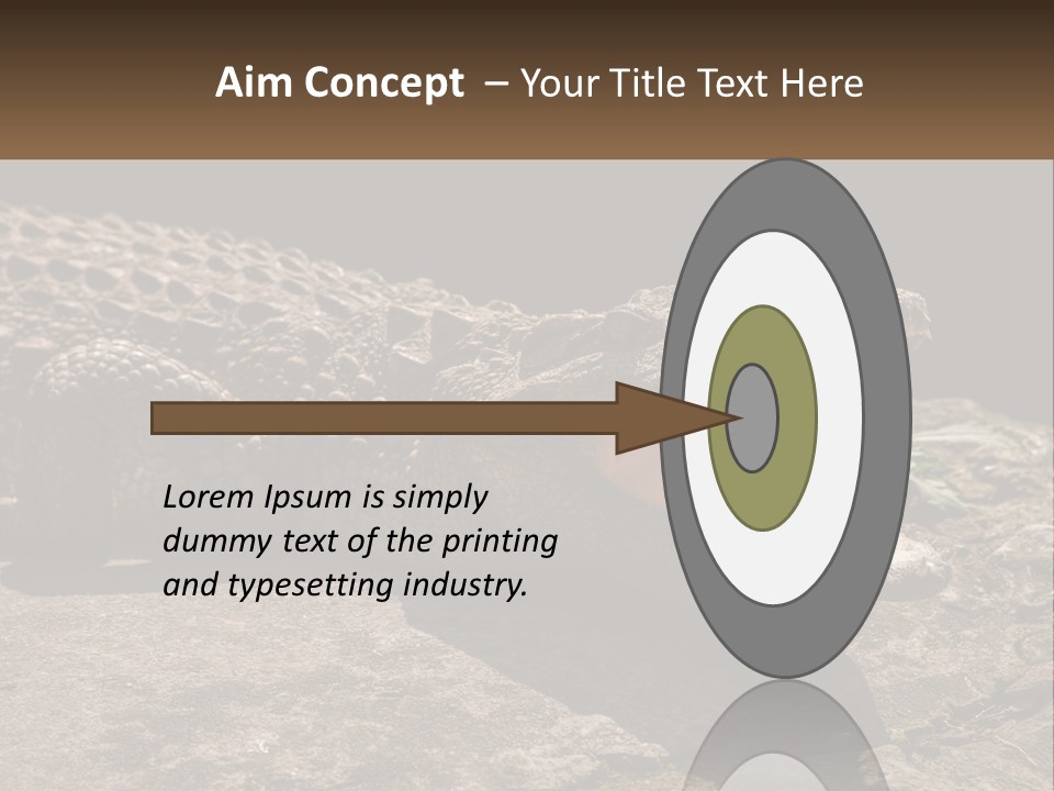 A Large Alligator Laying On Top Of A Rock PowerPoint Template