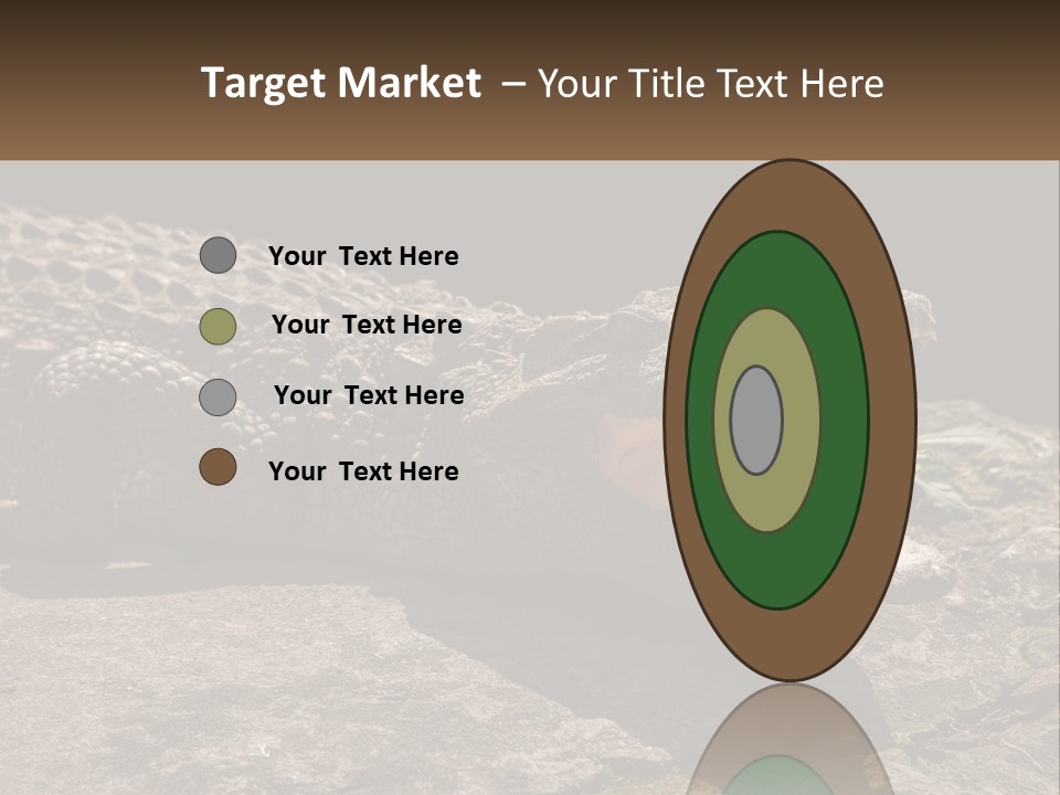 A Large Alligator Laying On Top Of A Rock PowerPoint Template