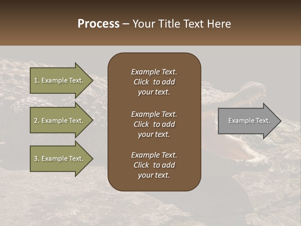A Large Alligator Laying On Top Of A Rock PowerPoint Template
