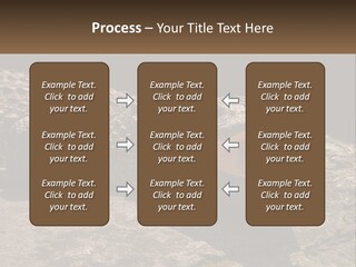 A Large Alligator Laying On Top Of A Rock PowerPoint Template