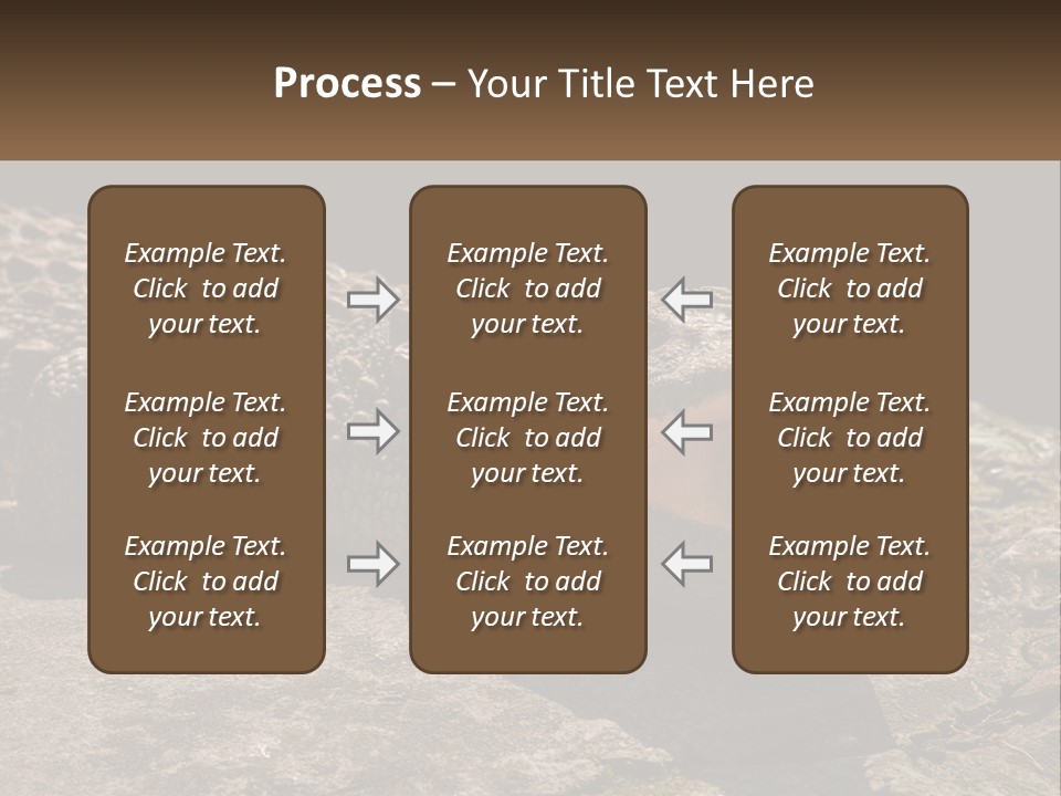 A Large Alligator Laying On Top Of A Rock PowerPoint Template