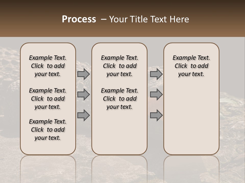 A Large Alligator Laying On Top Of A Rock PowerPoint Template