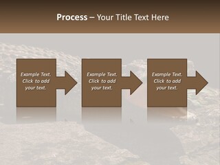 A Large Alligator Laying On Top Of A Rock PowerPoint Template