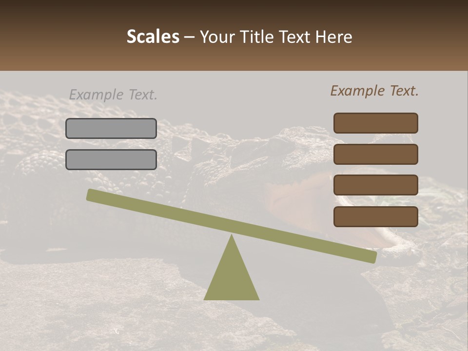 A Large Alligator Laying On Top Of A Rock PowerPoint Template