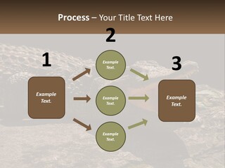 A Large Alligator Laying On Top Of A Rock PowerPoint Template