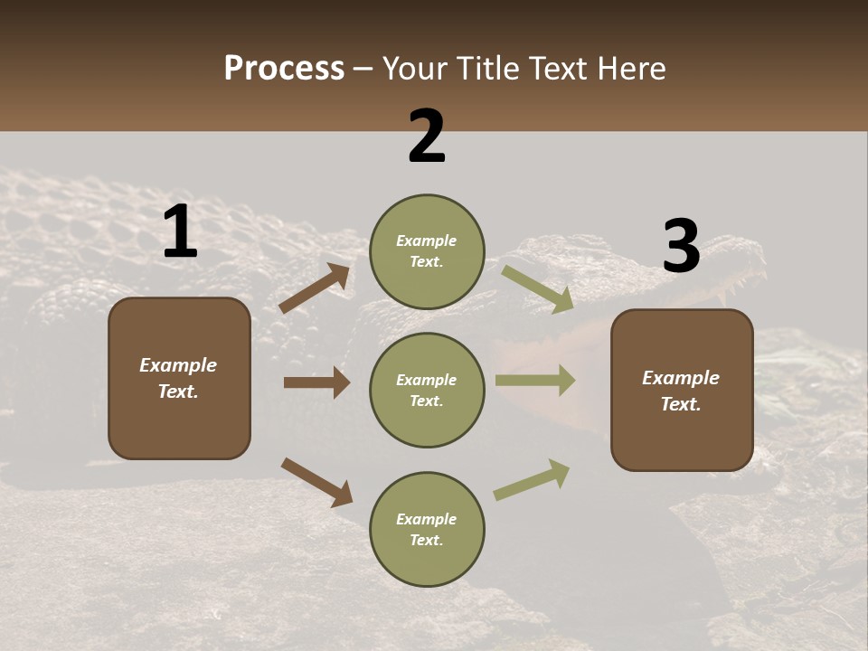 A Large Alligator Laying On Top Of A Rock PowerPoint Template