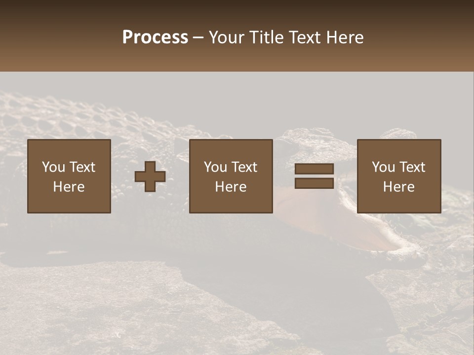 A Large Alligator Laying On Top Of A Rock PowerPoint Template