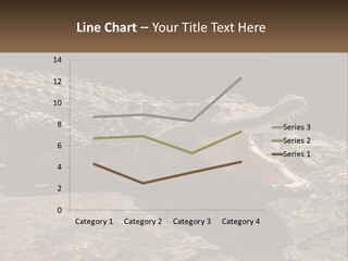 A Large Alligator Laying On Top Of A Rock PowerPoint Template