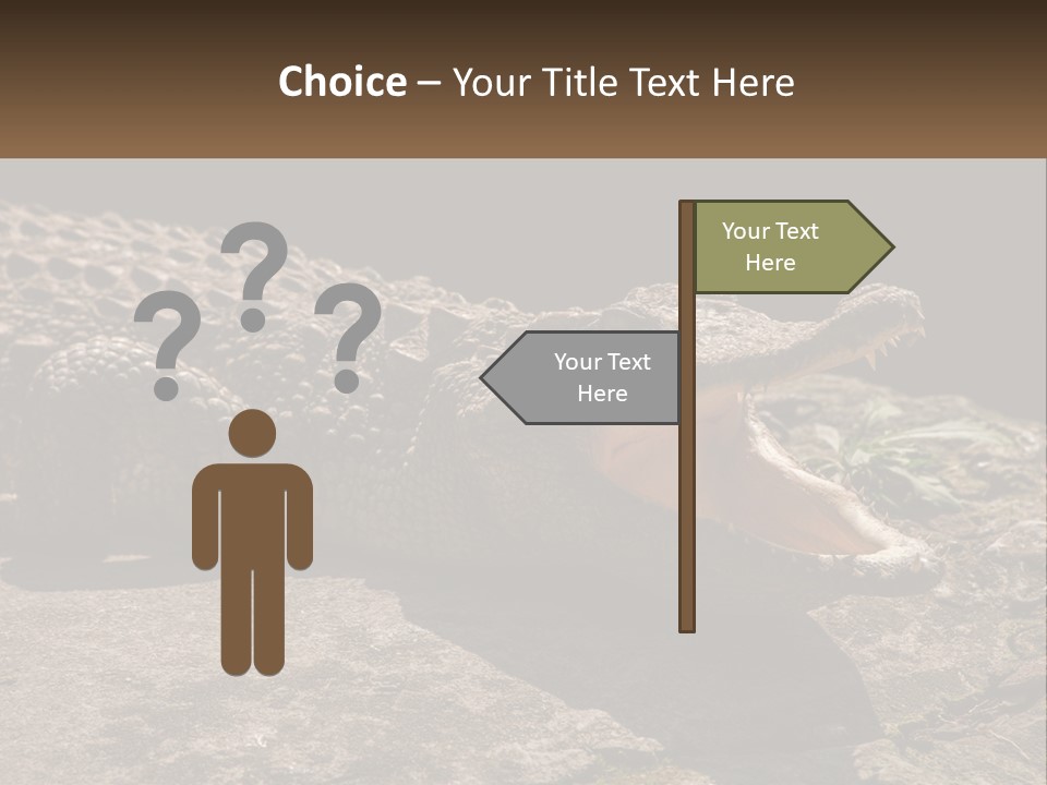 A Large Alligator Laying On Top Of A Rock PowerPoint Template