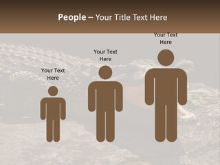 A Large Alligator Laying On Top Of A Rock PowerPoint Template