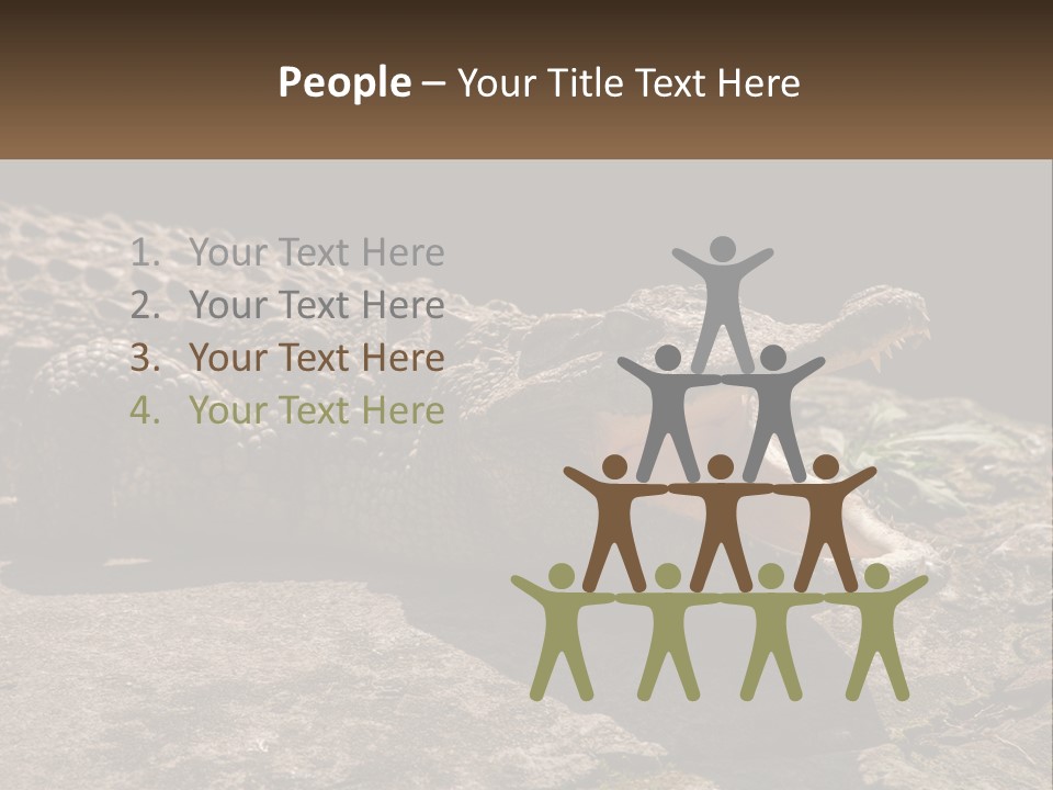 A Large Alligator Laying On Top Of A Rock PowerPoint Template