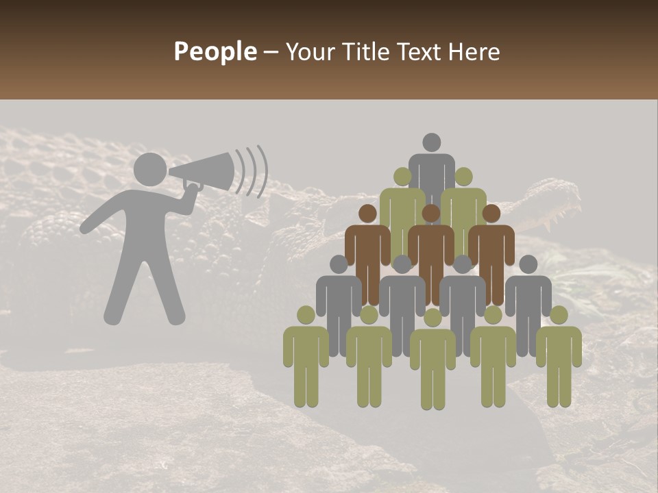 A Large Alligator Laying On Top Of A Rock PowerPoint Template