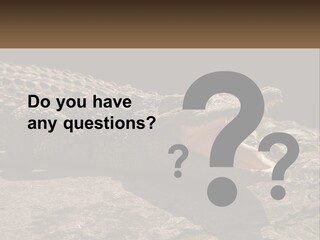 A Large Alligator Laying On Top Of A Rock PowerPoint Template