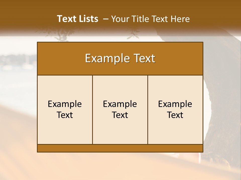 A Woman Laying In A Hammock On The Beach PowerPoint Template